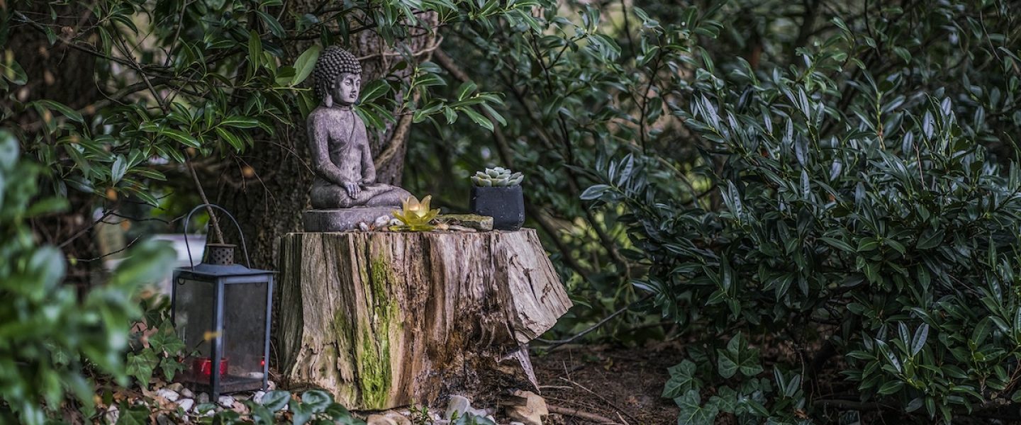 Zonnehuis tuin Buddha